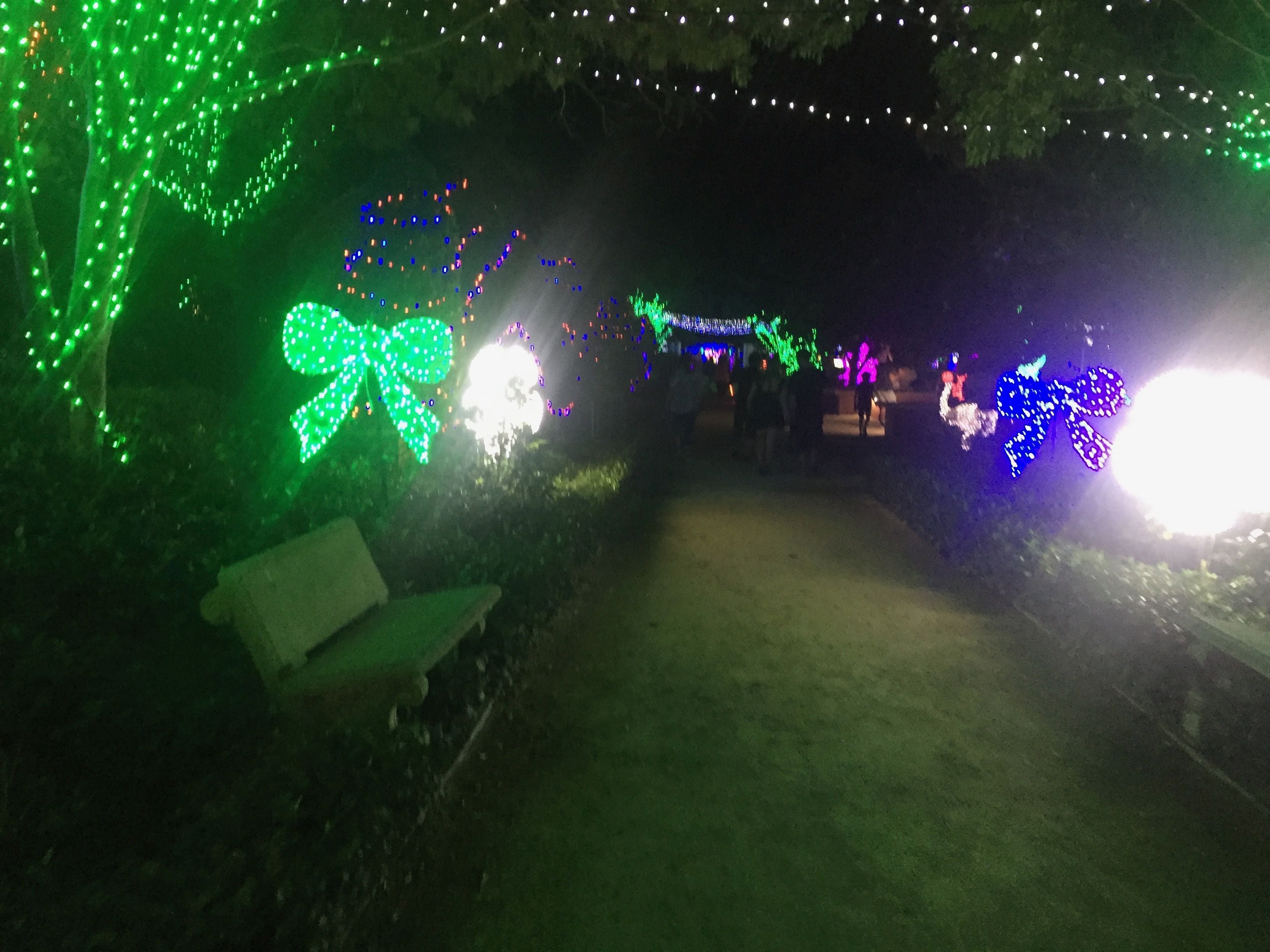 Hunter Valley Christmas Lights Spectacular Image -5b3abbe648ade